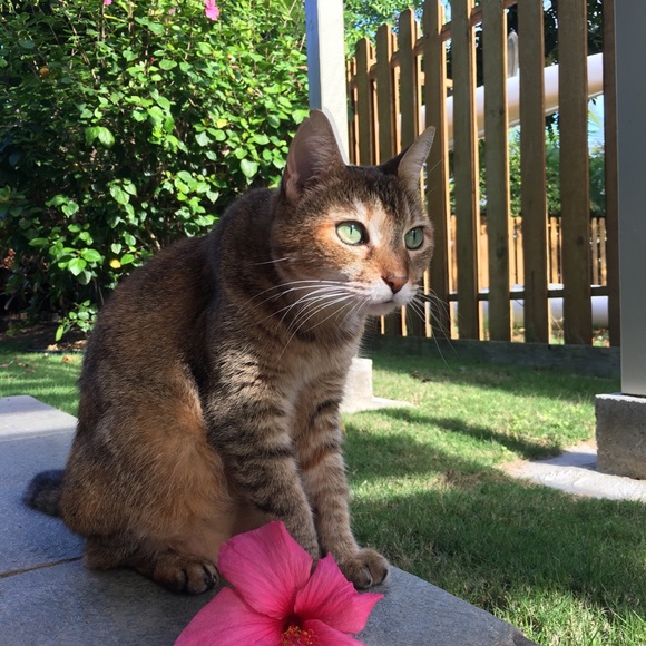 Meet your Posher, Patricia - Picture 4 of 6